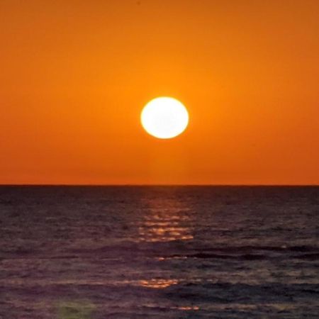 Nieuw Strand Petten Bagian luar foto